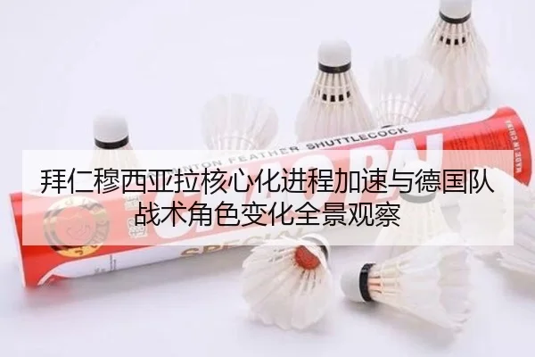 bai-ren-mu-xi-ya-la-he-xin-hua-jin-cheng-jia-su-yu-de-guo-dui-zhan-shu-jue-se-bian-hua-quan-jing-guan-cha-2-662.jpg